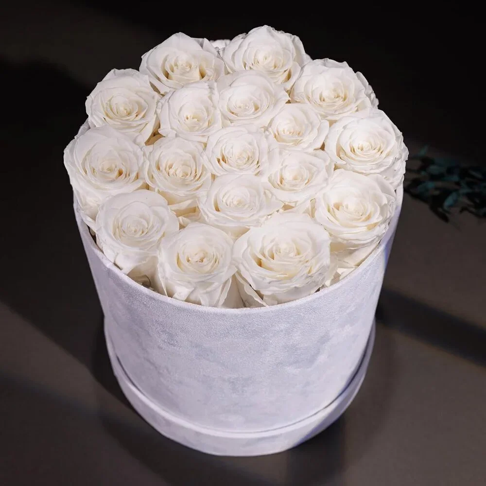 N/A classic roses